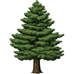 returning to stanford