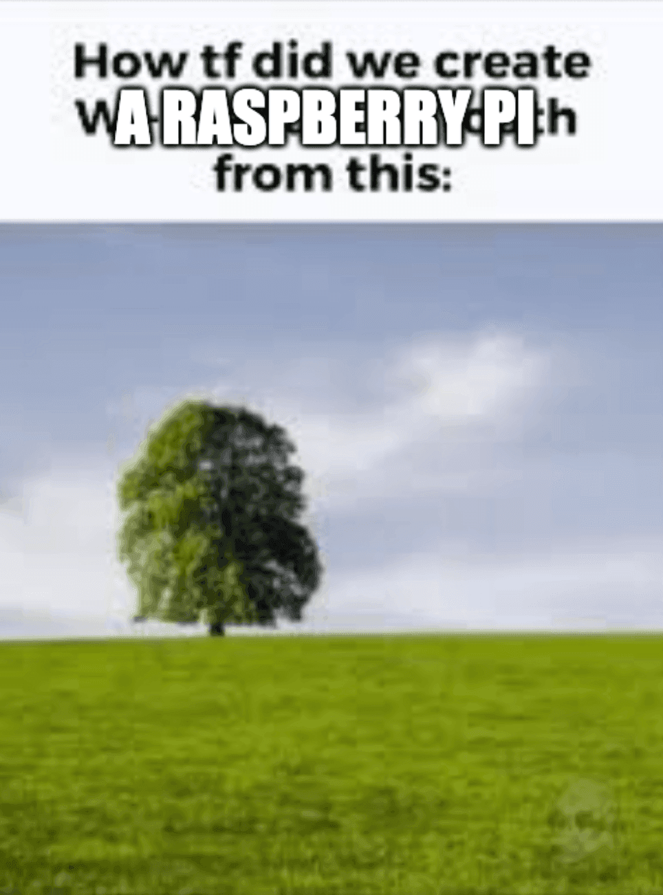 How tf did we create a Raspberry Pi from this