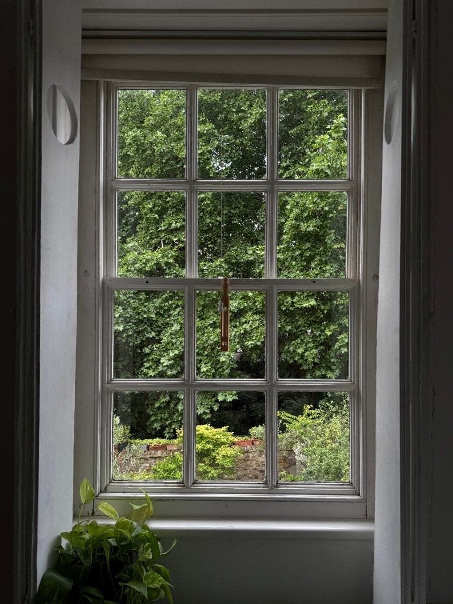 window