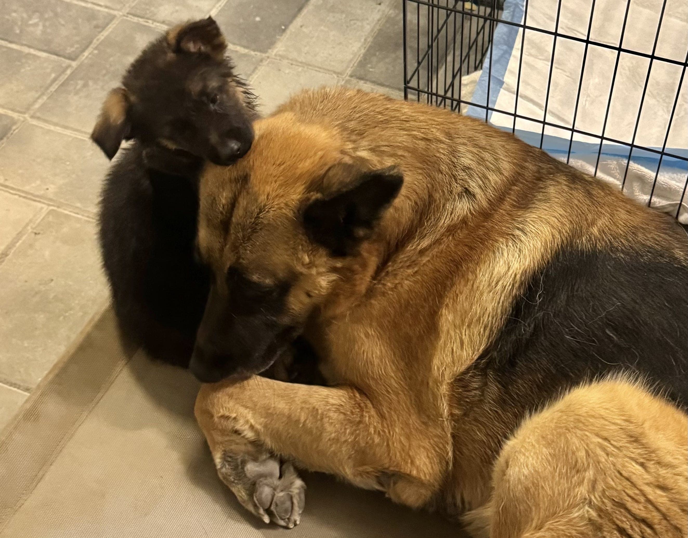 cozying up with lil guy