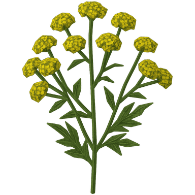 yellow flower fields (specifically the wild mustard throughout our backyard)