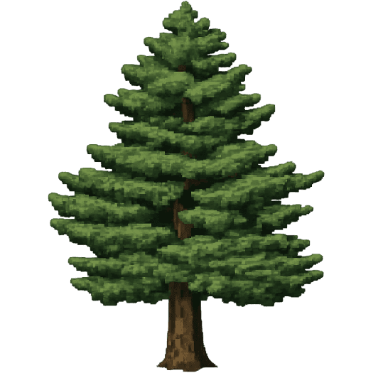 returning to stanford