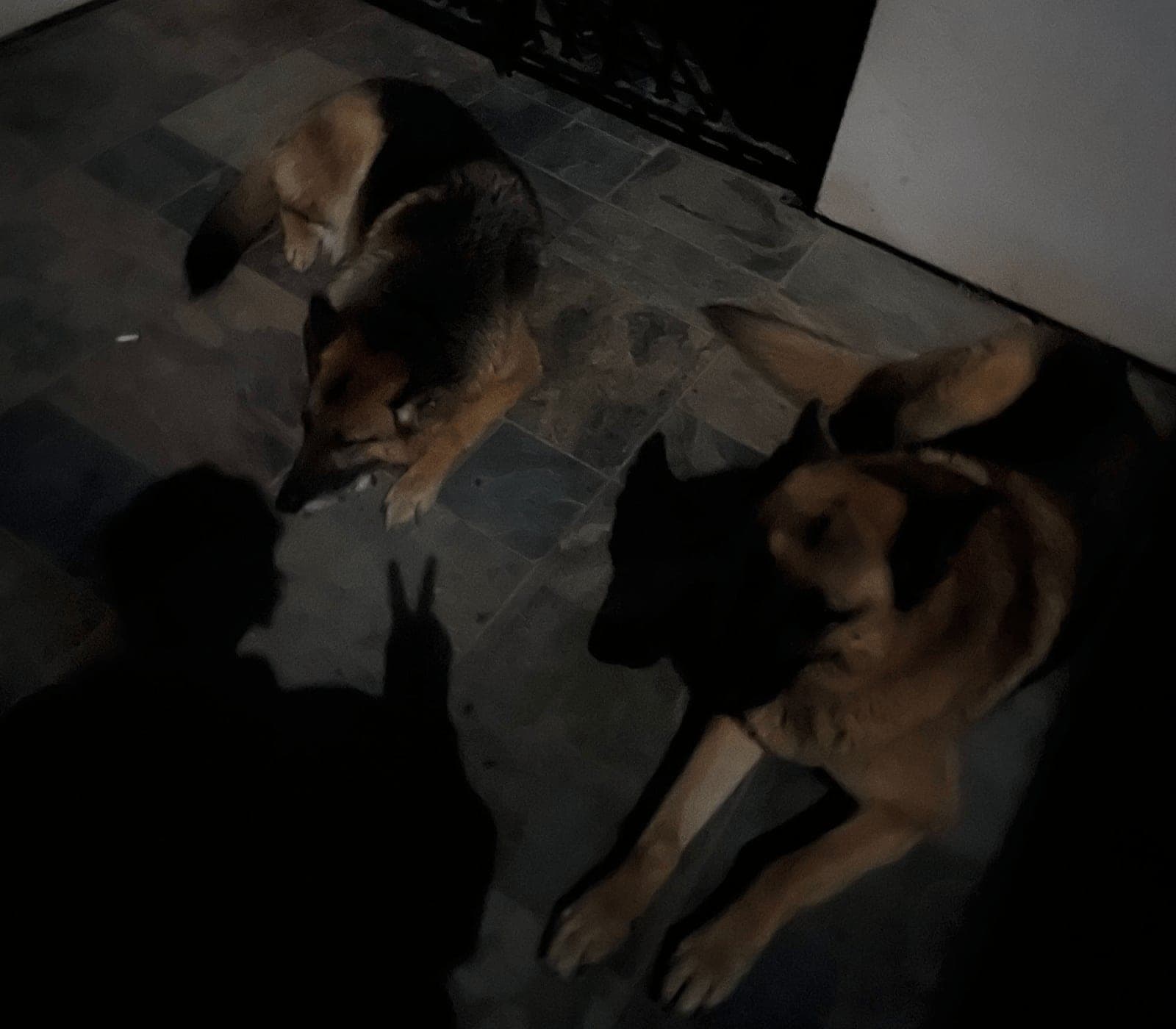 moon shadows